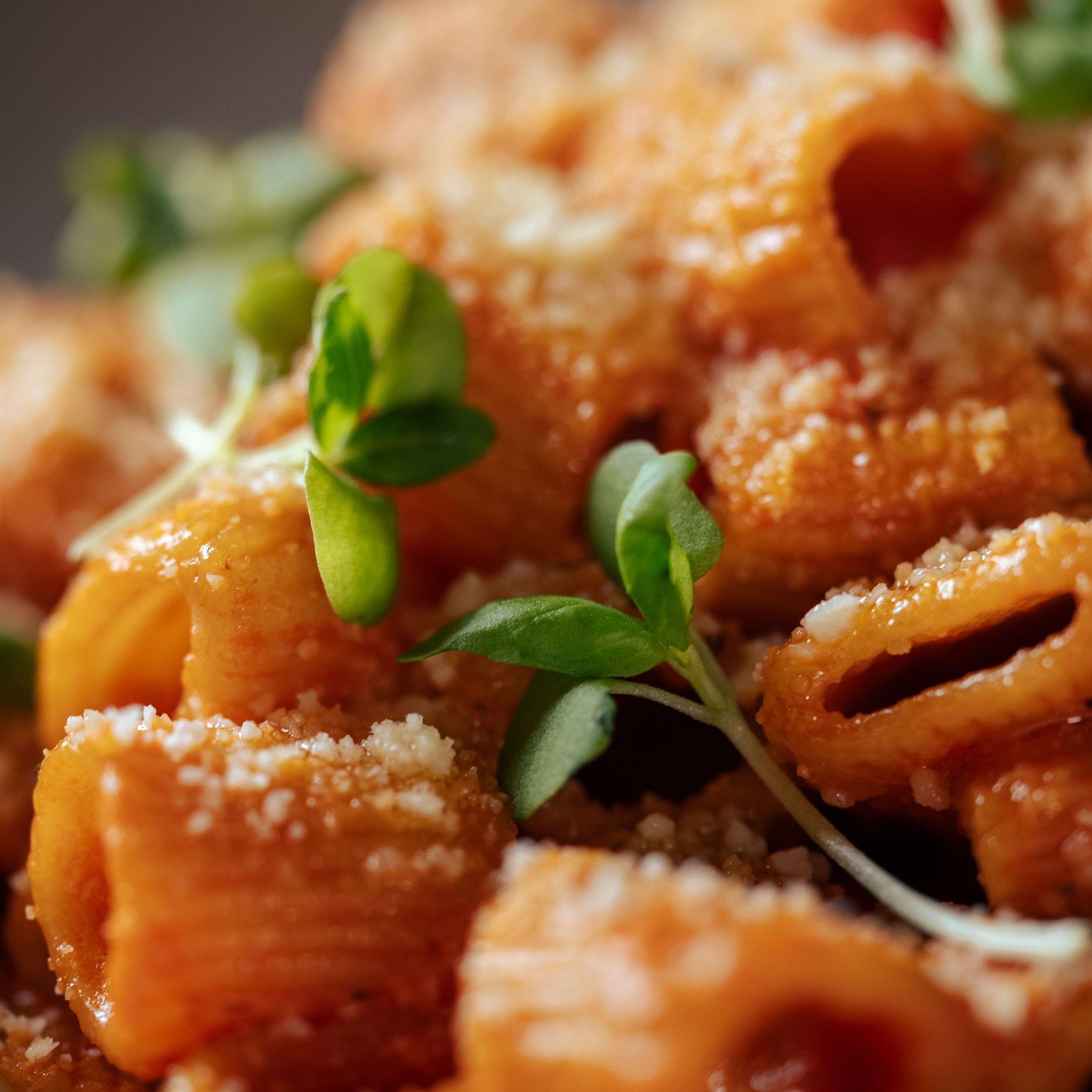 Mezze rigatoni pasta at Palm Tree Club in Orlando.