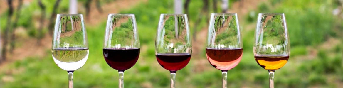 Five glasses of various wines lined up.